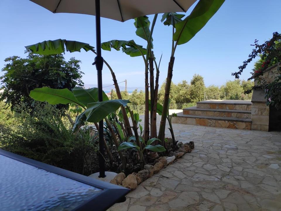Xenia'S Countryside Guesthouse Agia Marina Екстериор снимка