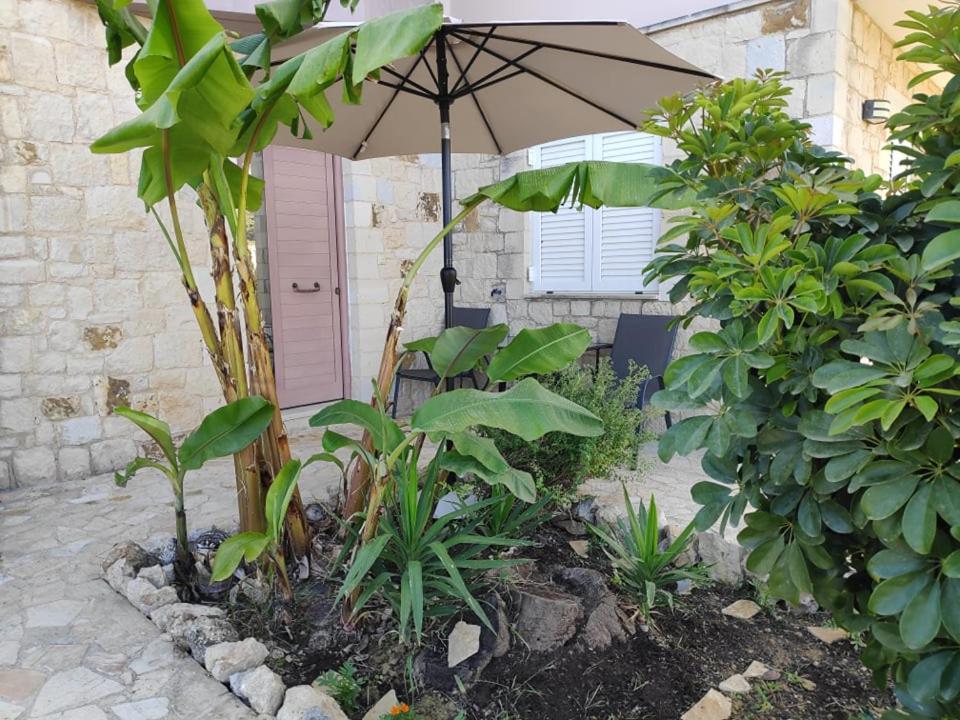 Xenia'S Countryside Guesthouse Agia Marina Екстериор снимка