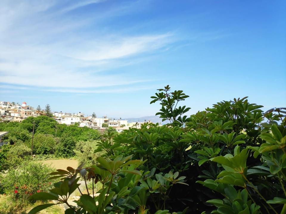 Xenia'S Countryside Guesthouse Agia Marina Екстериор снимка