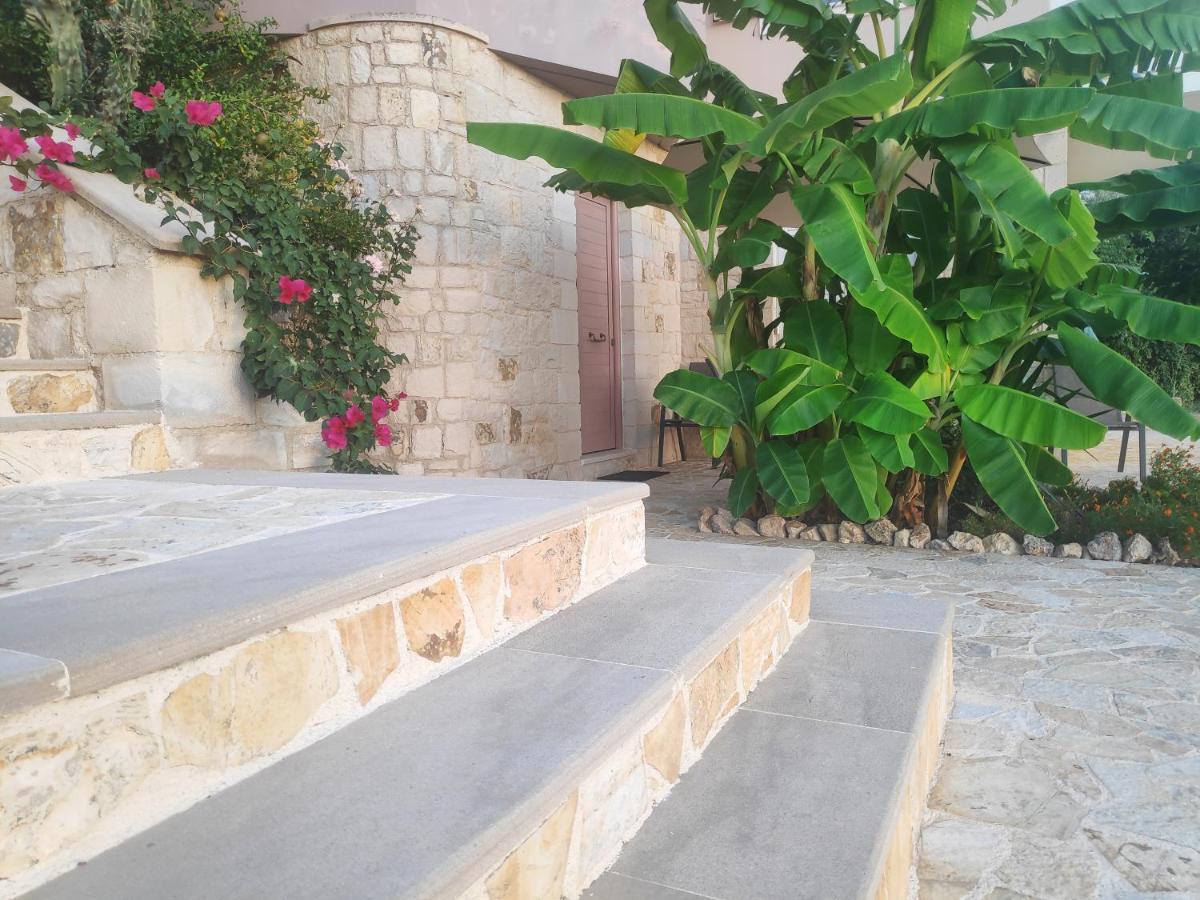 Xenia'S Countryside Guesthouse Agia Marina Екстериор снимка
